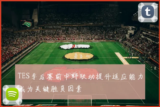 TES季后赛前中野联动提升适应能力成为关键胜负因素